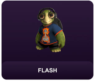Flash