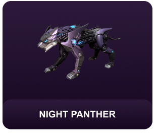 Night Panther