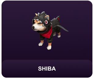 Shiba