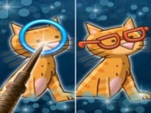 Find Differences